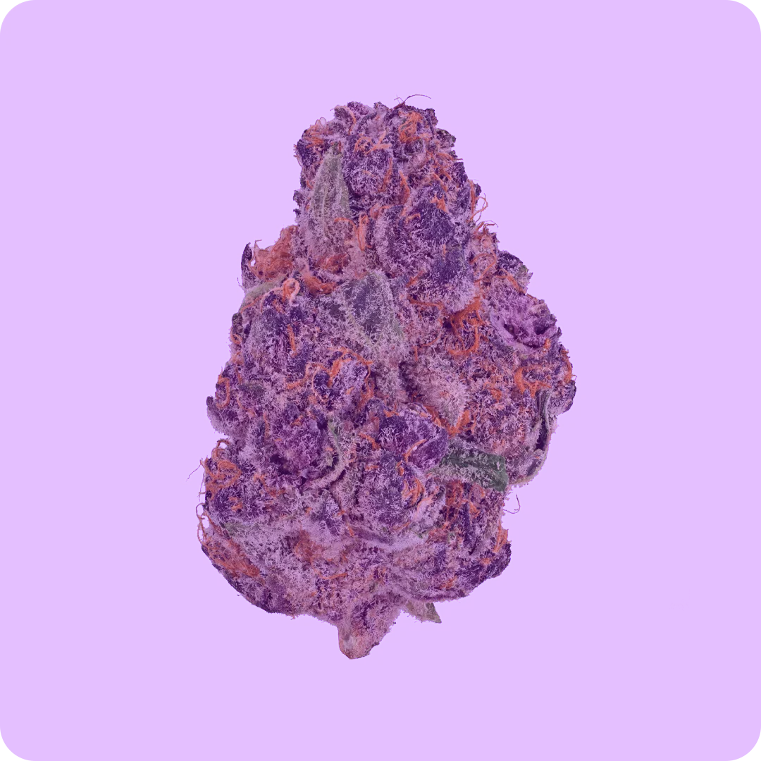 Indica