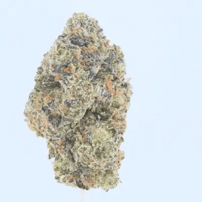 Cherry Zashimi THCa Flower
