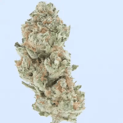 Blue Dream THCa Flower