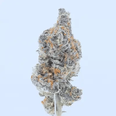 Space Junky – THCa Flower