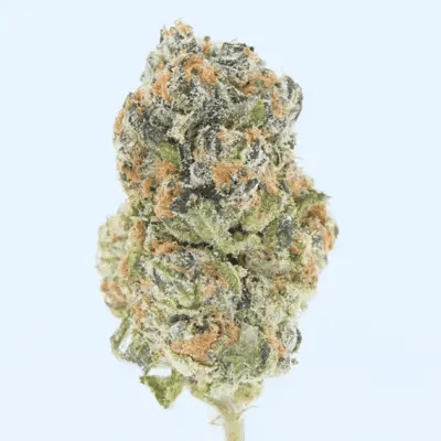 Tres Leches THCa Flower