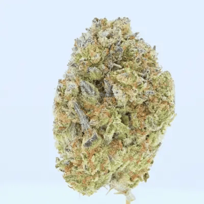 Vorpal Cherry Aurora THCa Flower