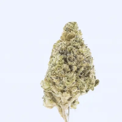 Mr. Nasty - THCa Flower