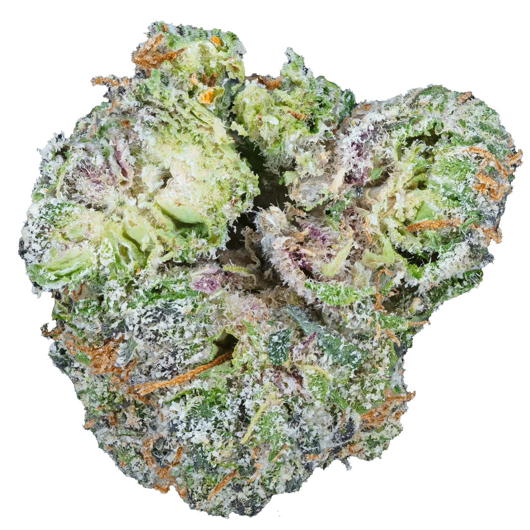 Cherry Zashimi THCa Flower