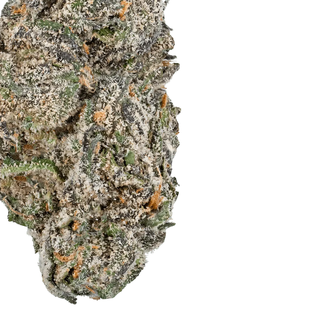 White Truffle THCa Flower