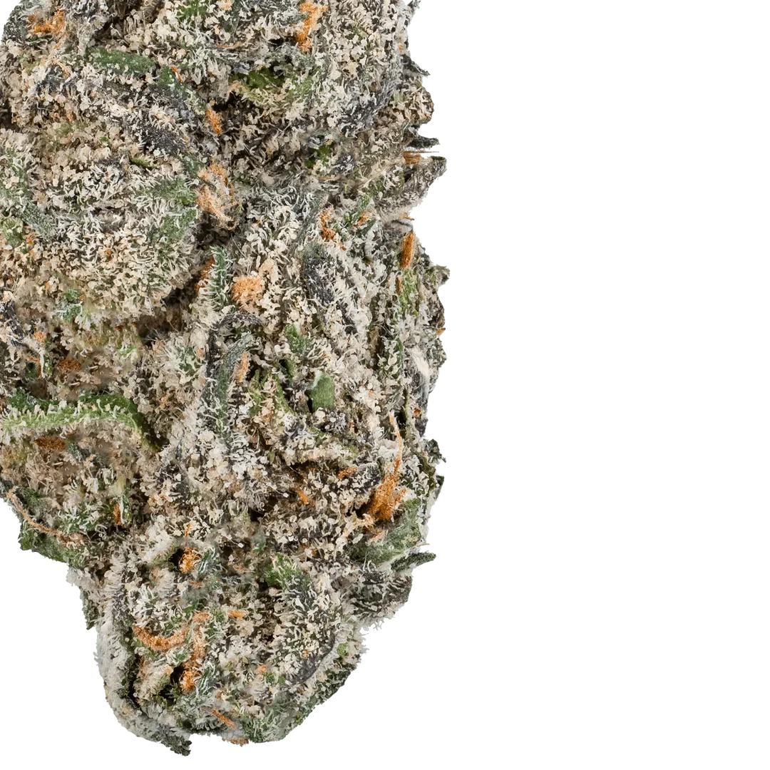 White Truffle THCa Flower