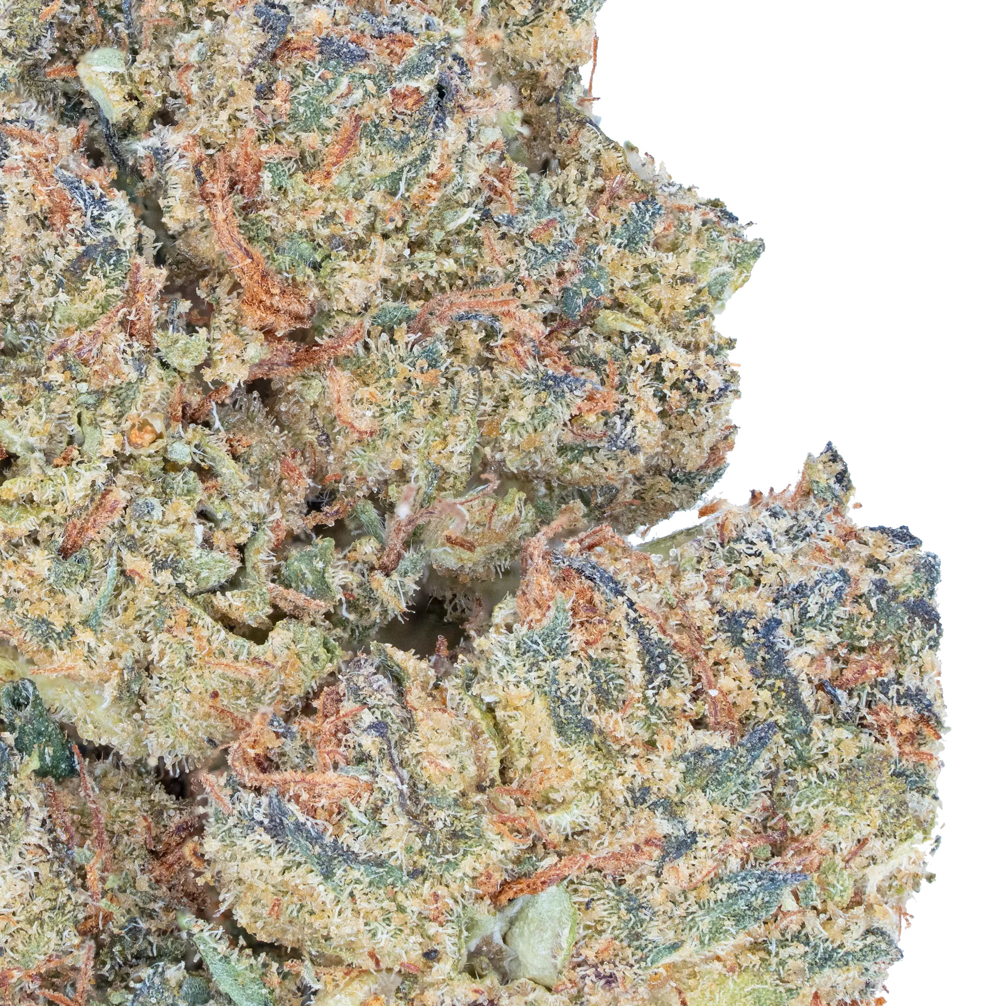 Jealousy – THCa Flower