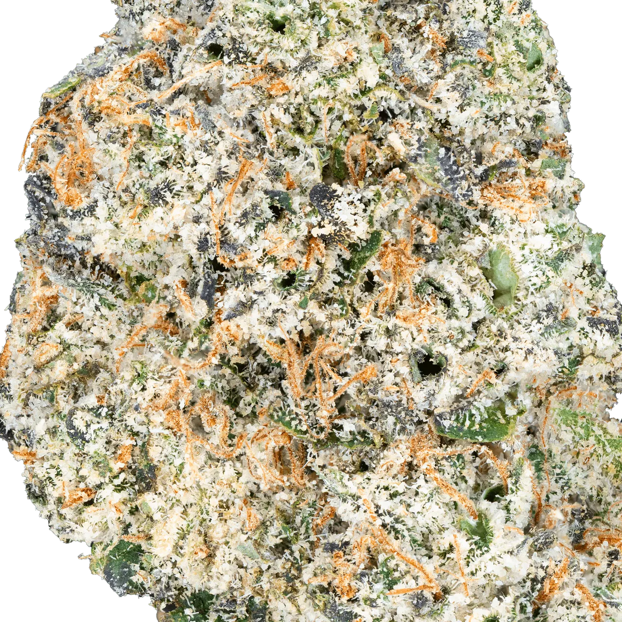 Thai Iced Tea- THCa Flower