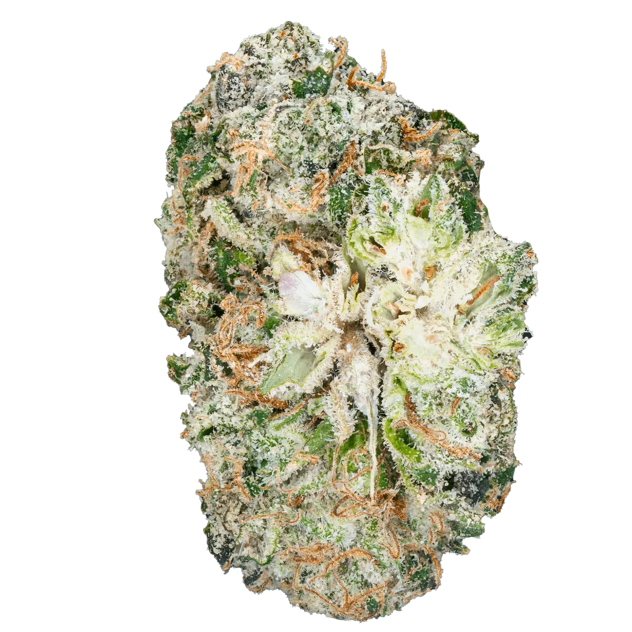 Thai Iced Tea- THCa Flower