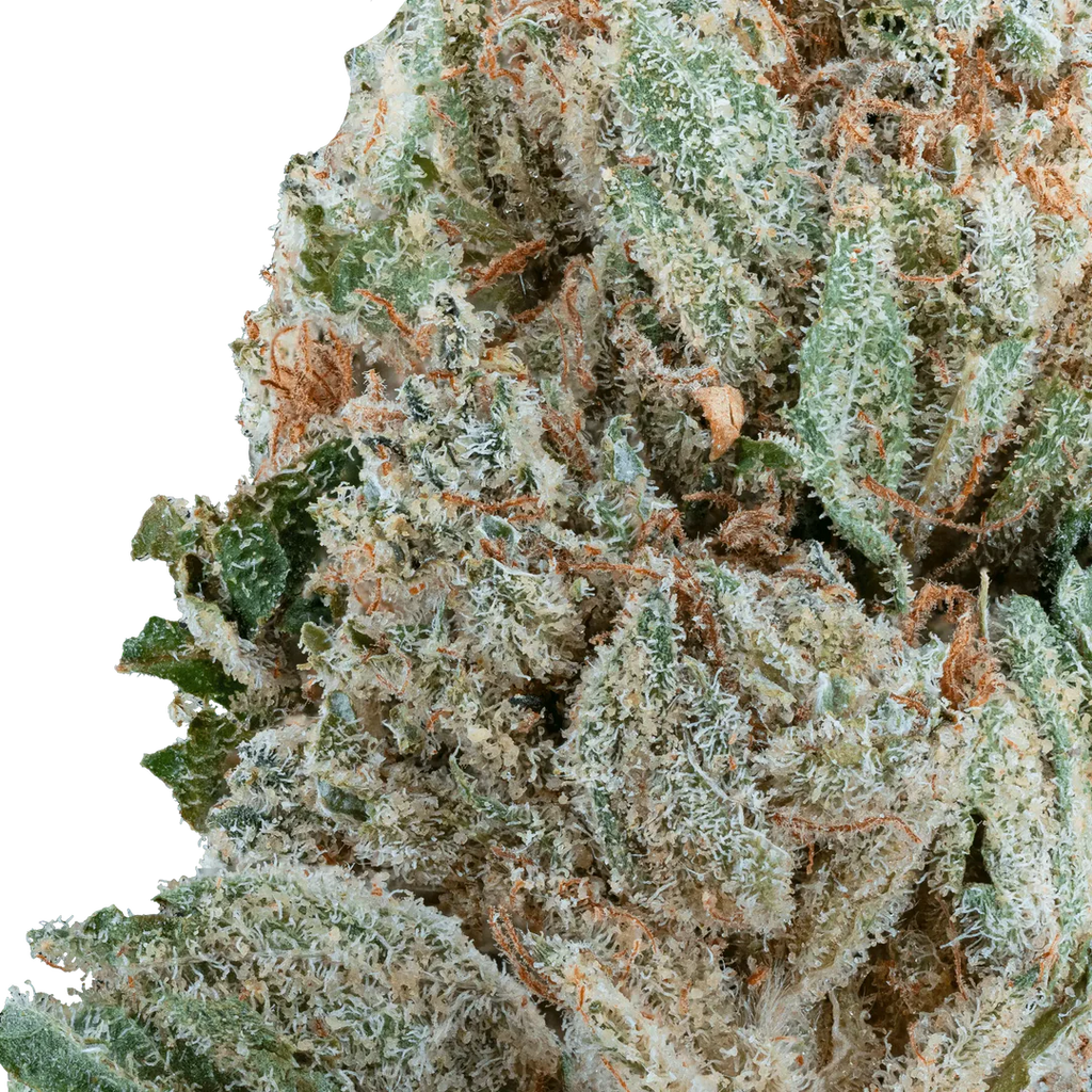 Strawberry Express THCa Flower