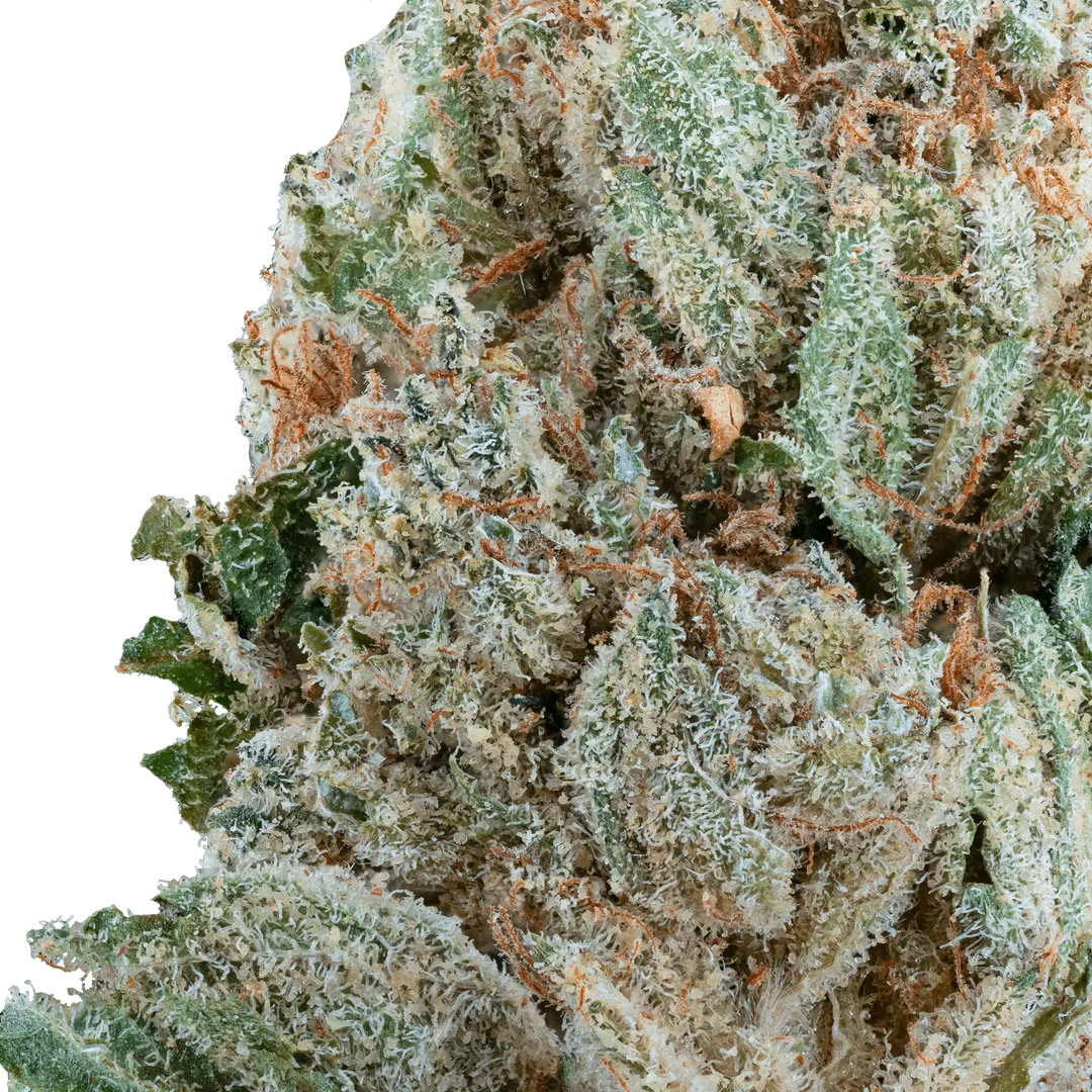 Strawberry Express THCa Flower