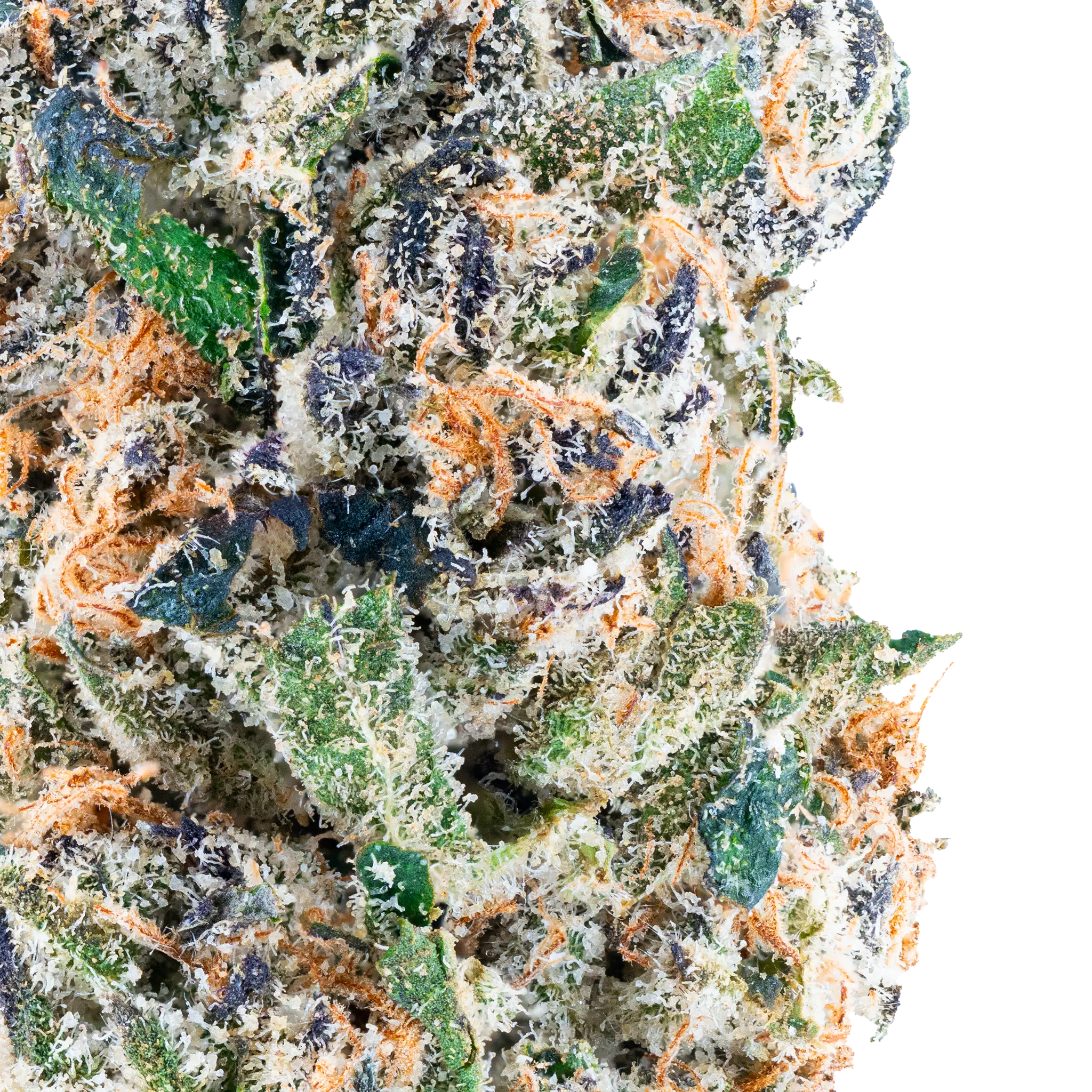 Tres Leches THCa Flower