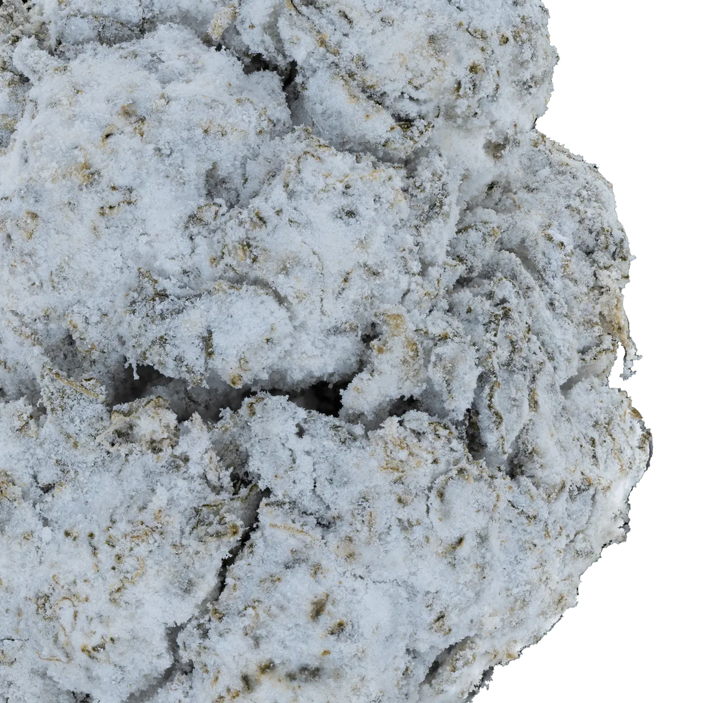Snowballs THCa Flower