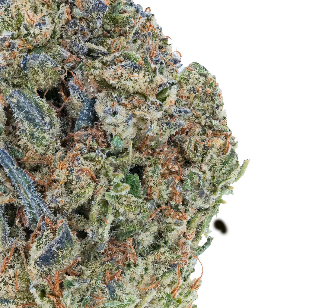 Vorpal Cherry Aurora THCa Flower