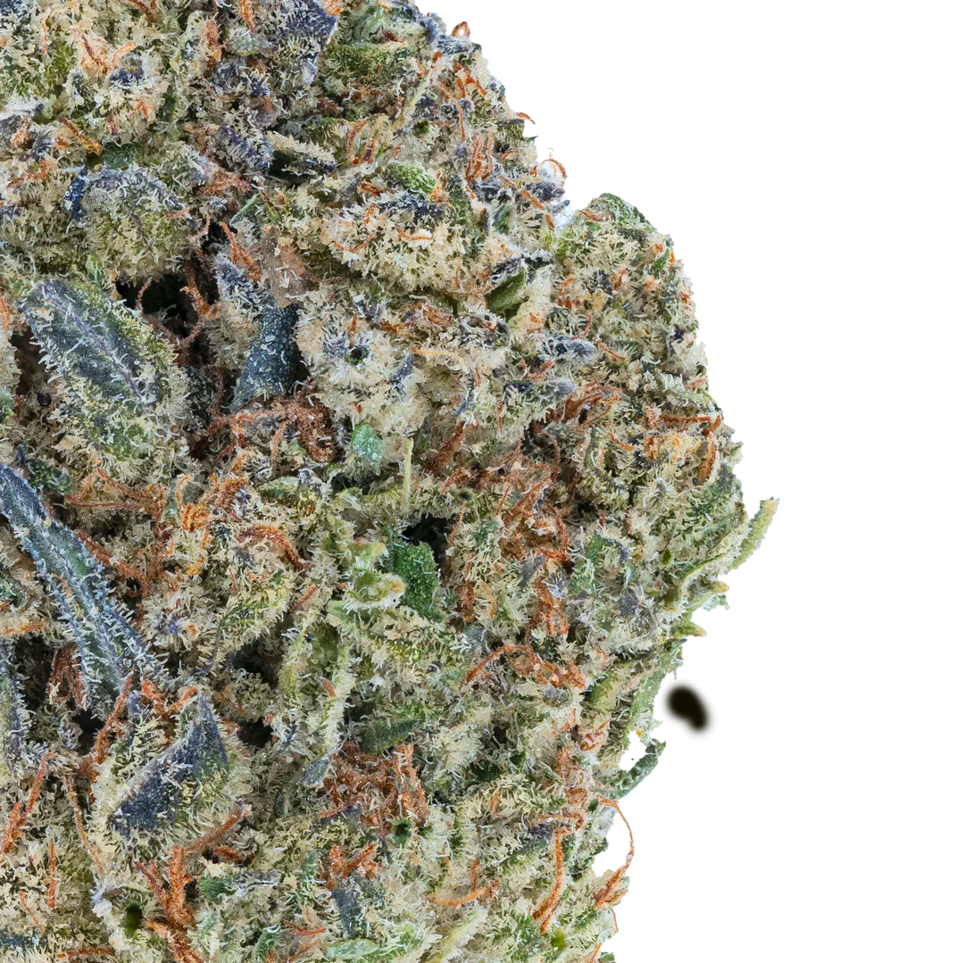 Vorpal Cherry Aurora THCa Flower