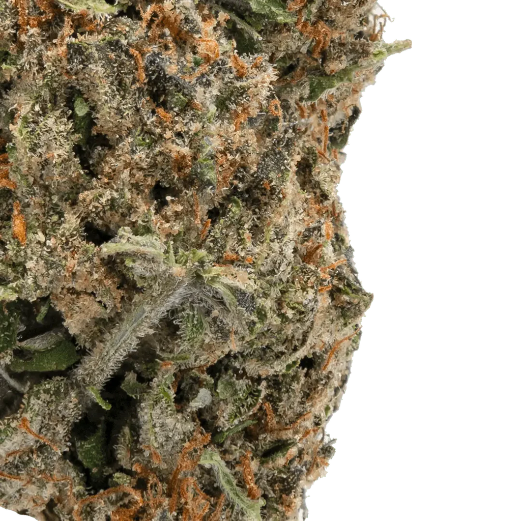 Ice Cream Cookies THCa Flower