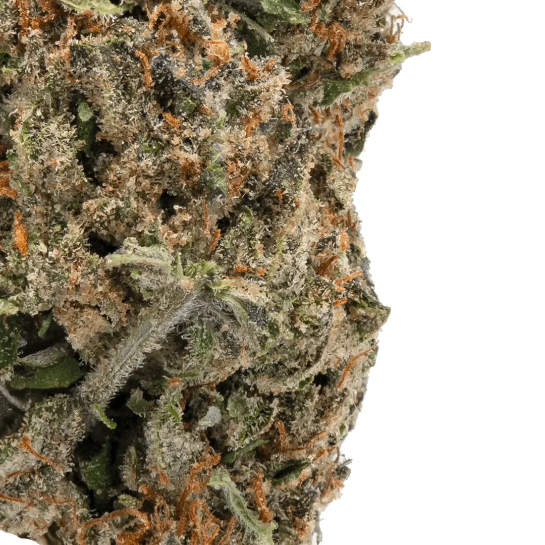 Ice Cream Cookies THCa Flower