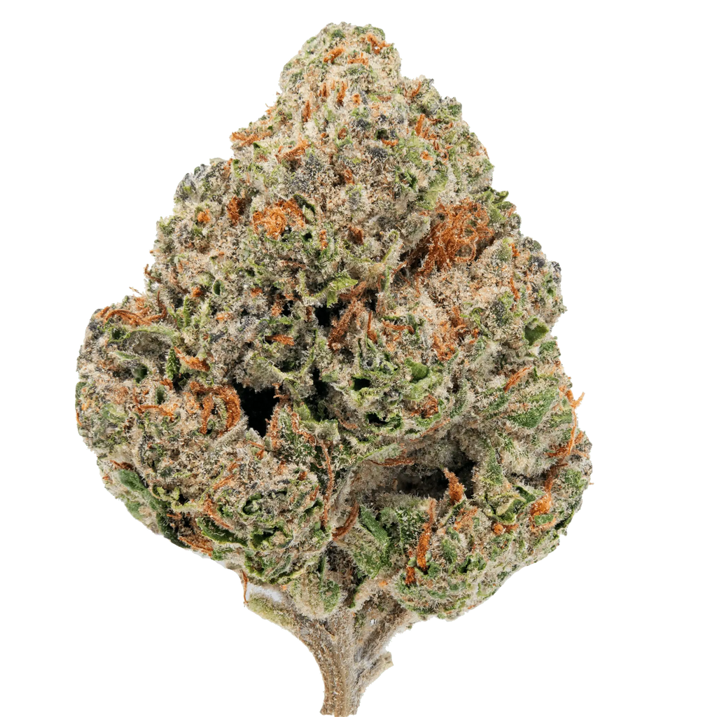 Gorilla Glue – THCa Flower