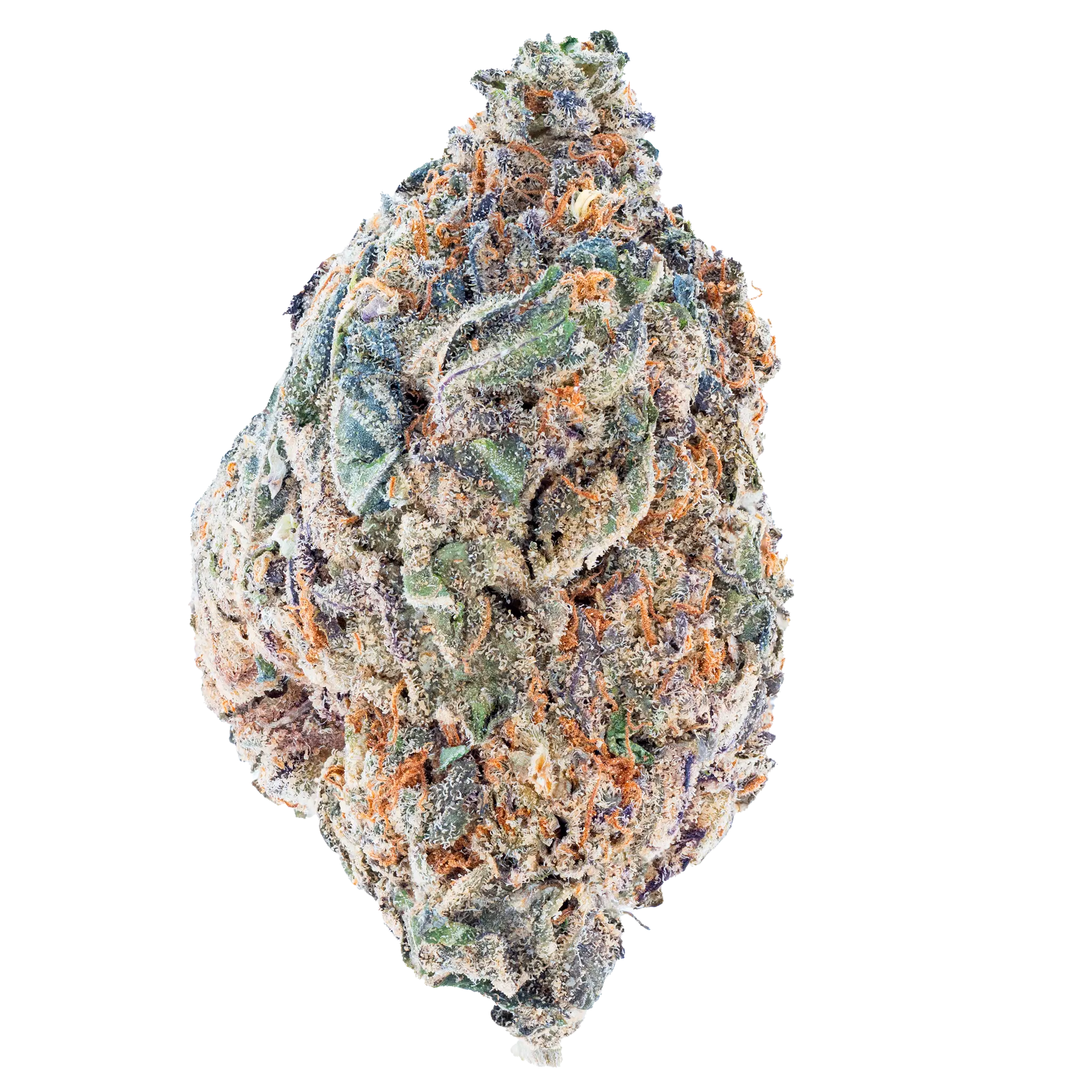 Purple Push Pop- THCa Flower