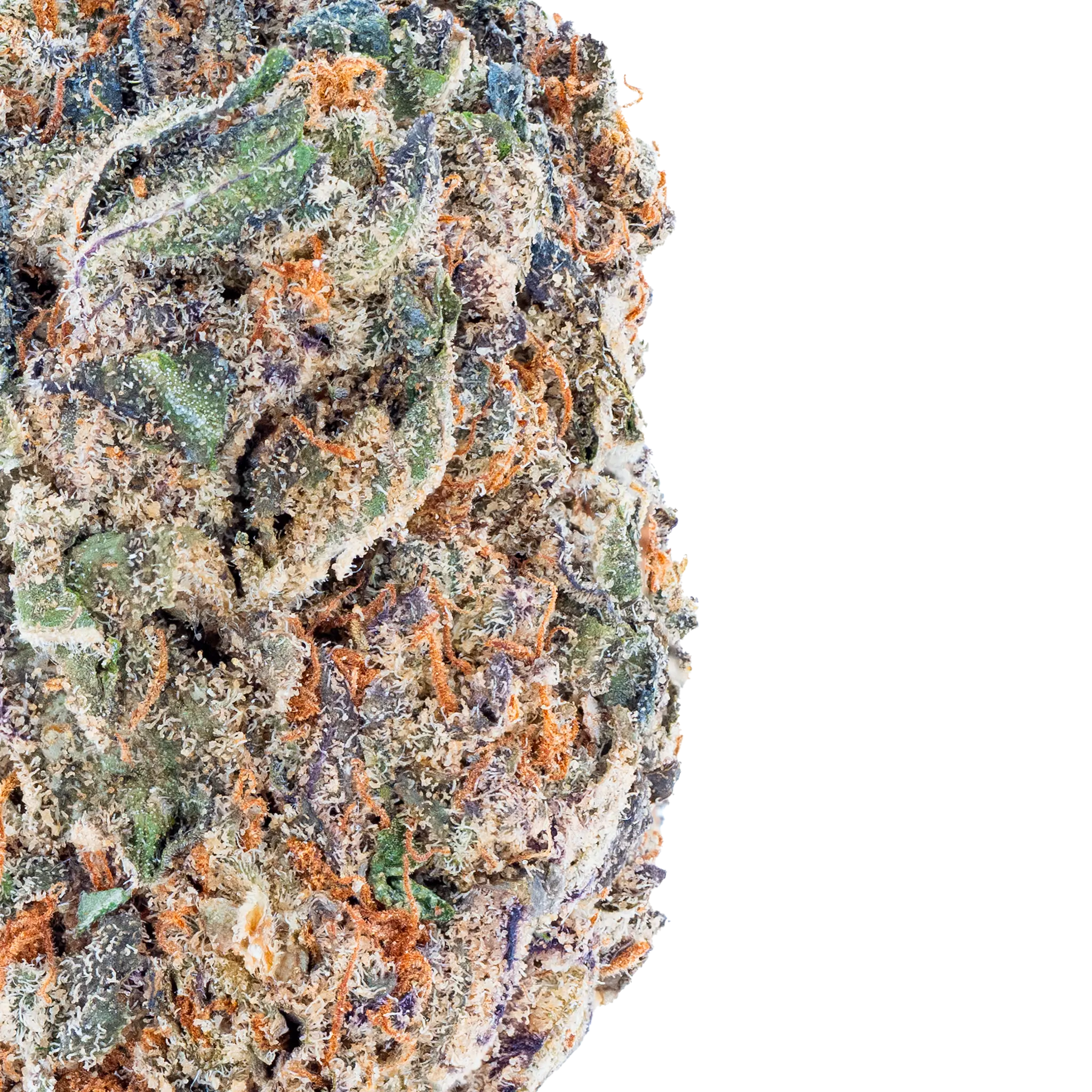 Purple Push Pop- THCa Flower