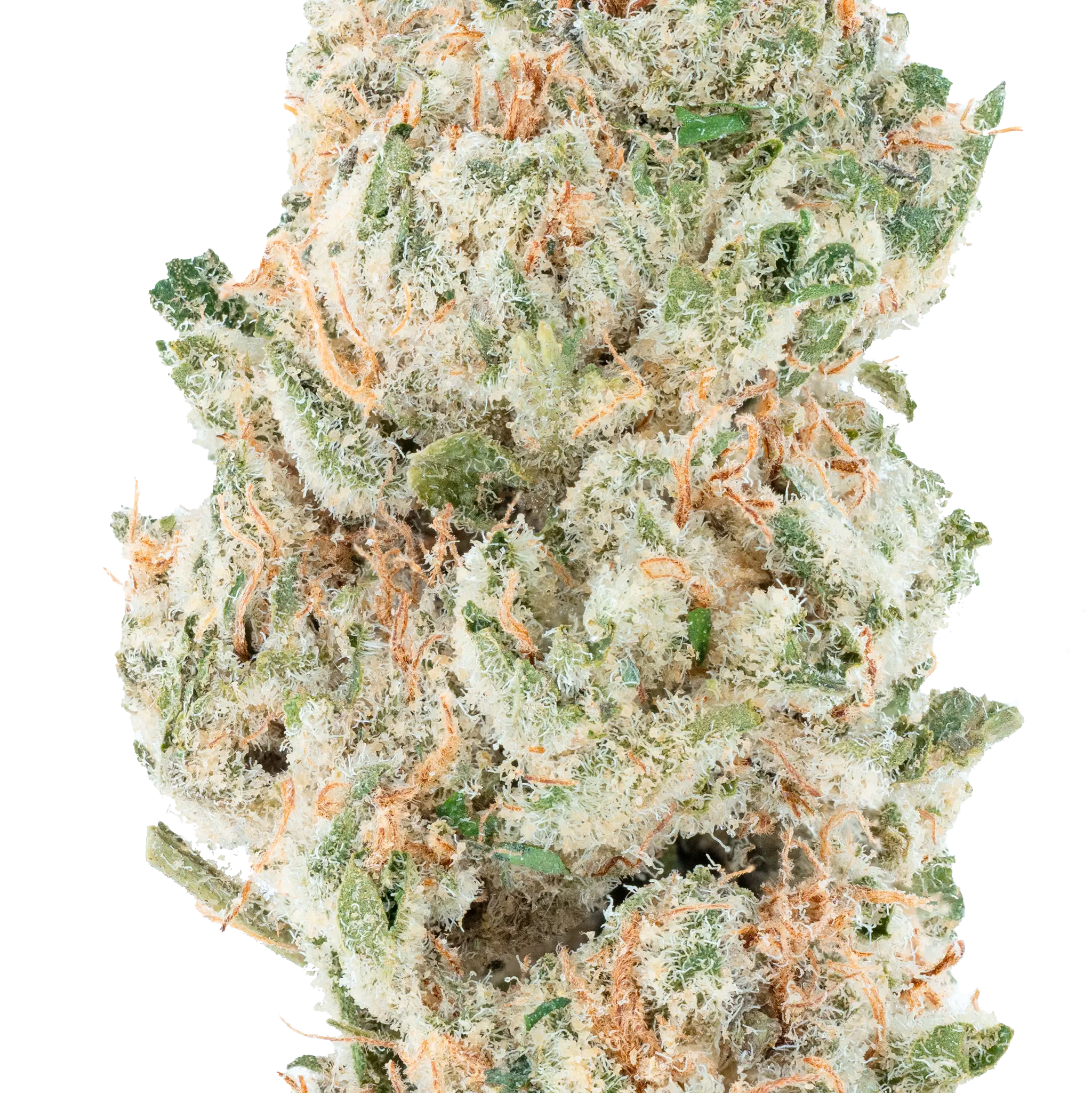 Blue Dream THCa Flower