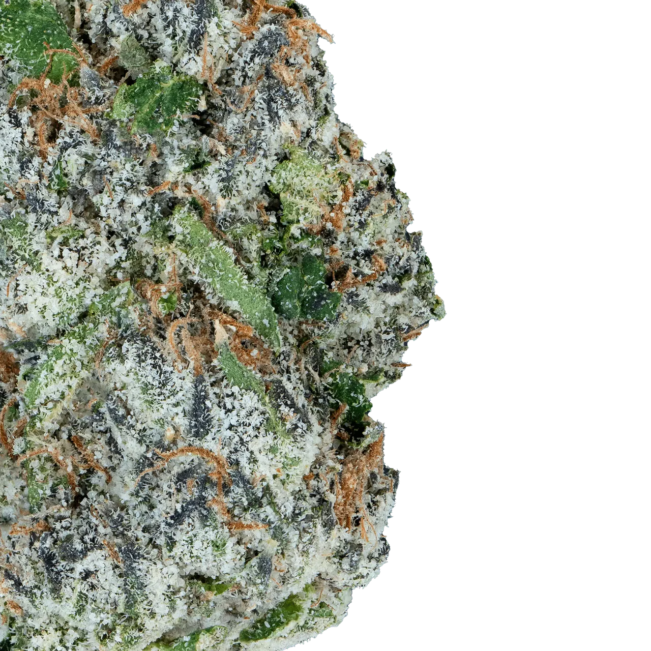Alien ET THCa Flower