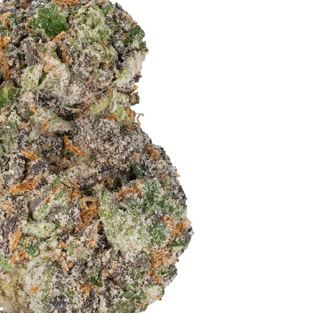 Lil Baby - Gelato 45