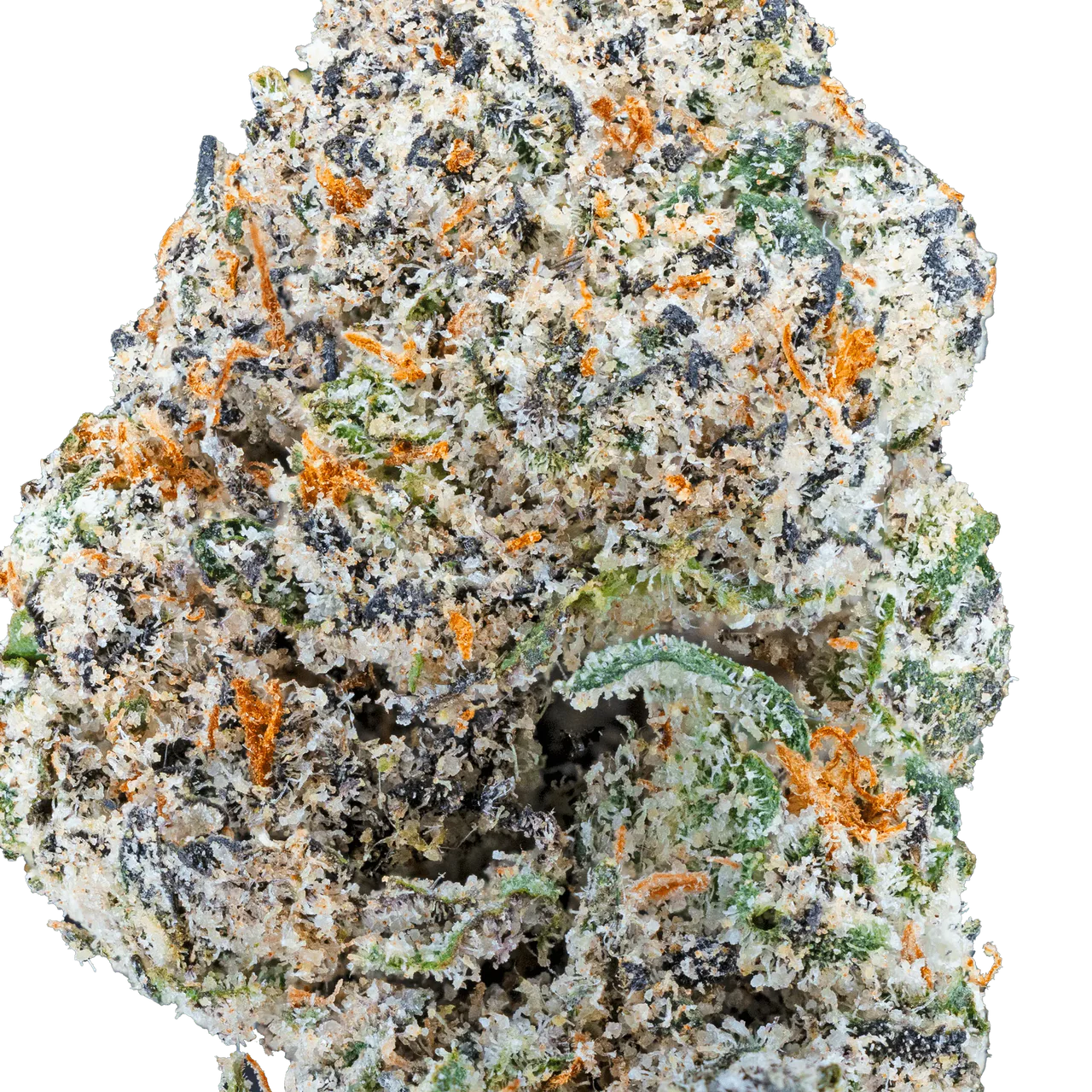 Blue Cherry Gelato THCa Flower
