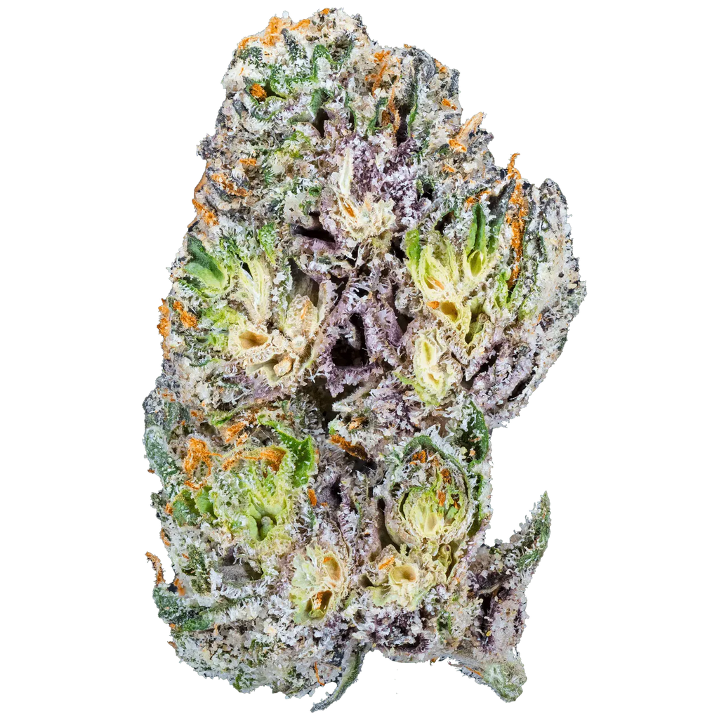 Blue Cherry Gelato THCa Flower