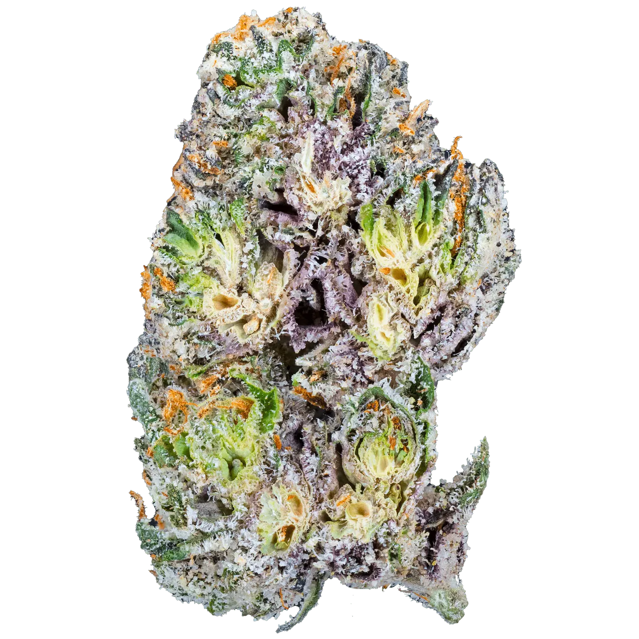Blue Cherry Gelato THCa Flower