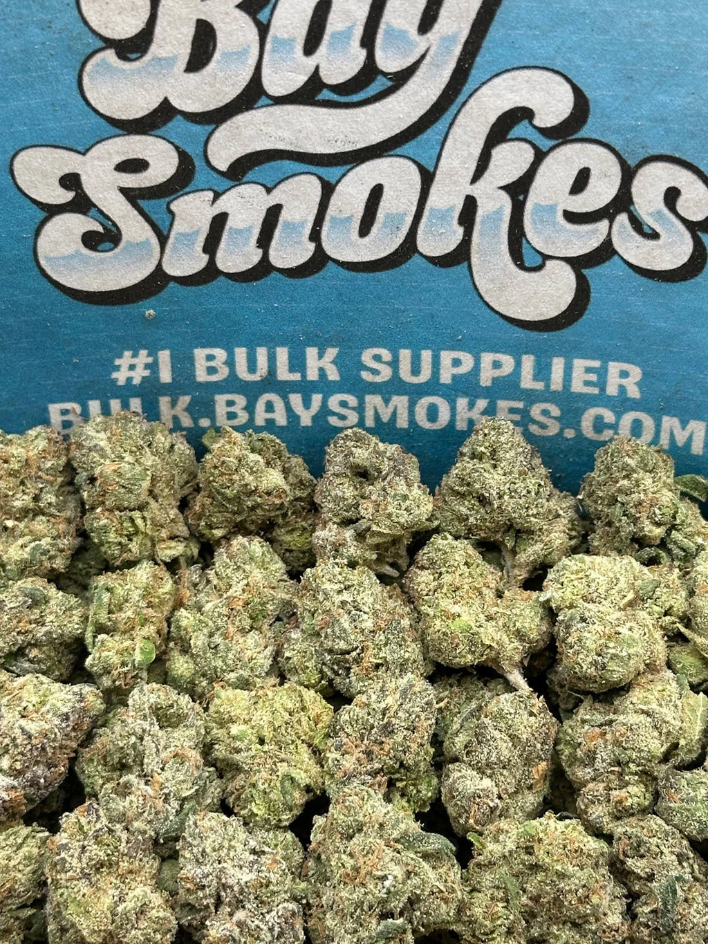 GMO SM (Indica)
