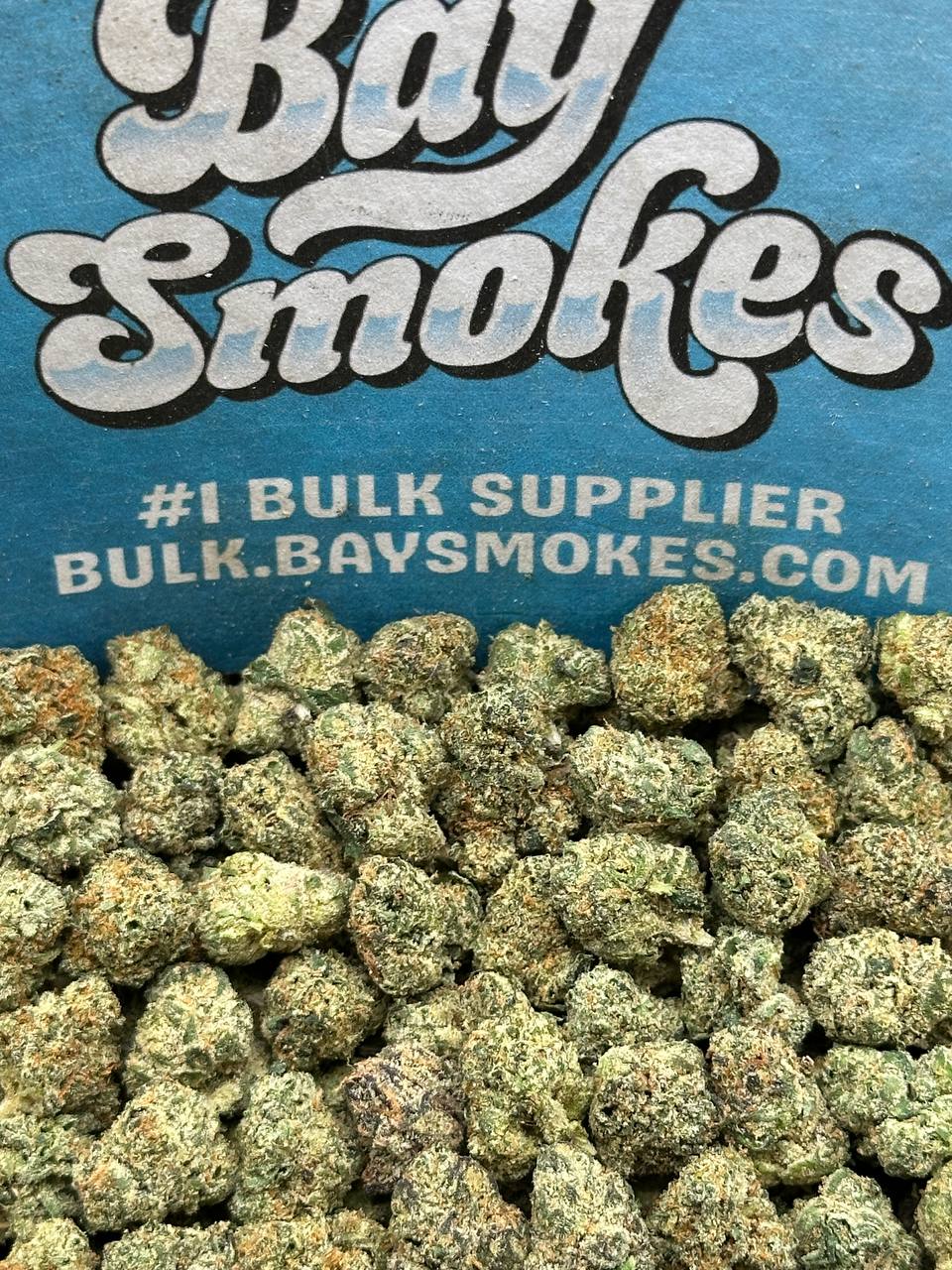 Jealousy SM (Indica Hybrid)