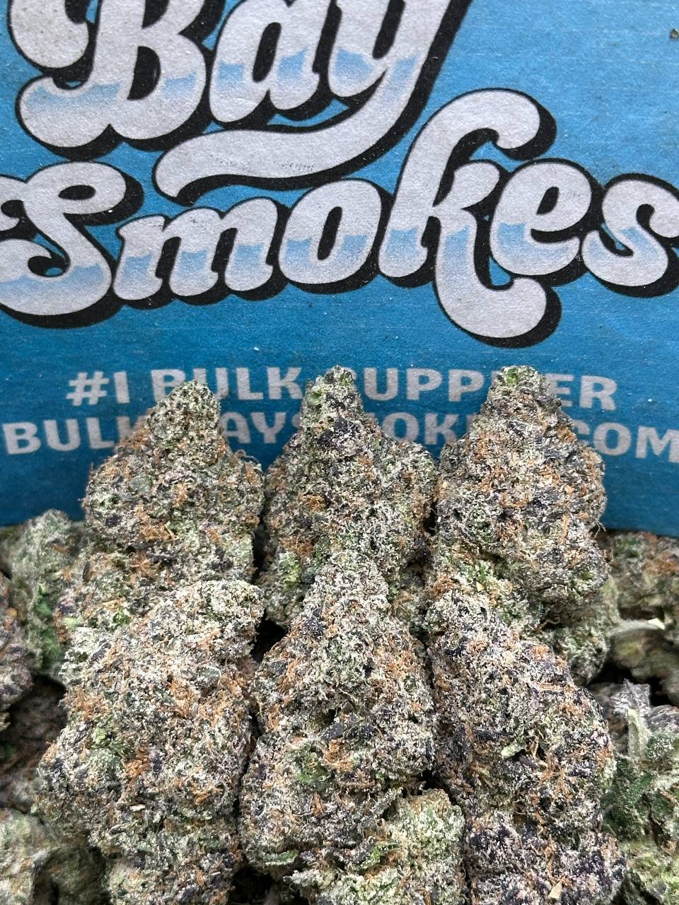 Gumbo Runtz (Indica Hybrid)