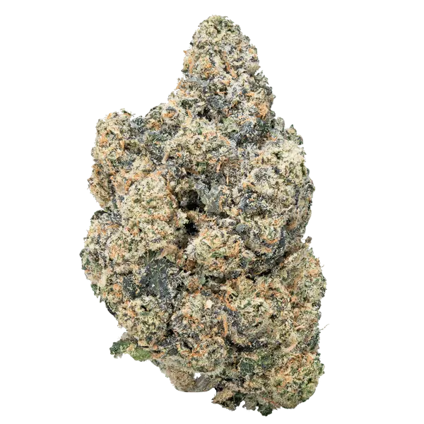 Purple Push Pop- THCa Flower