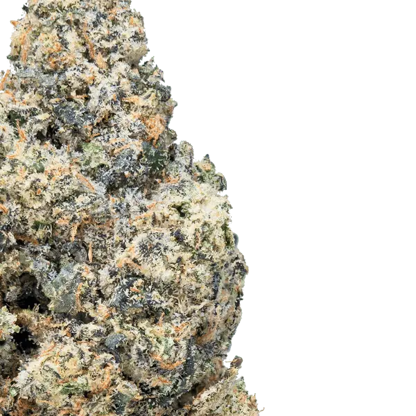 Purple Push Pop- THCa Flower