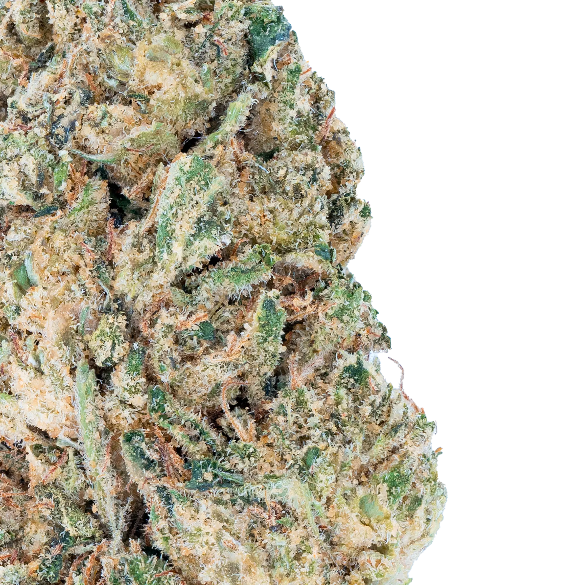 Mr. Nasty - THCa Flower