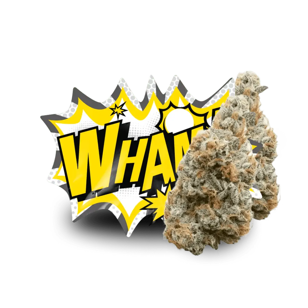 Lil Baby - WHAM!