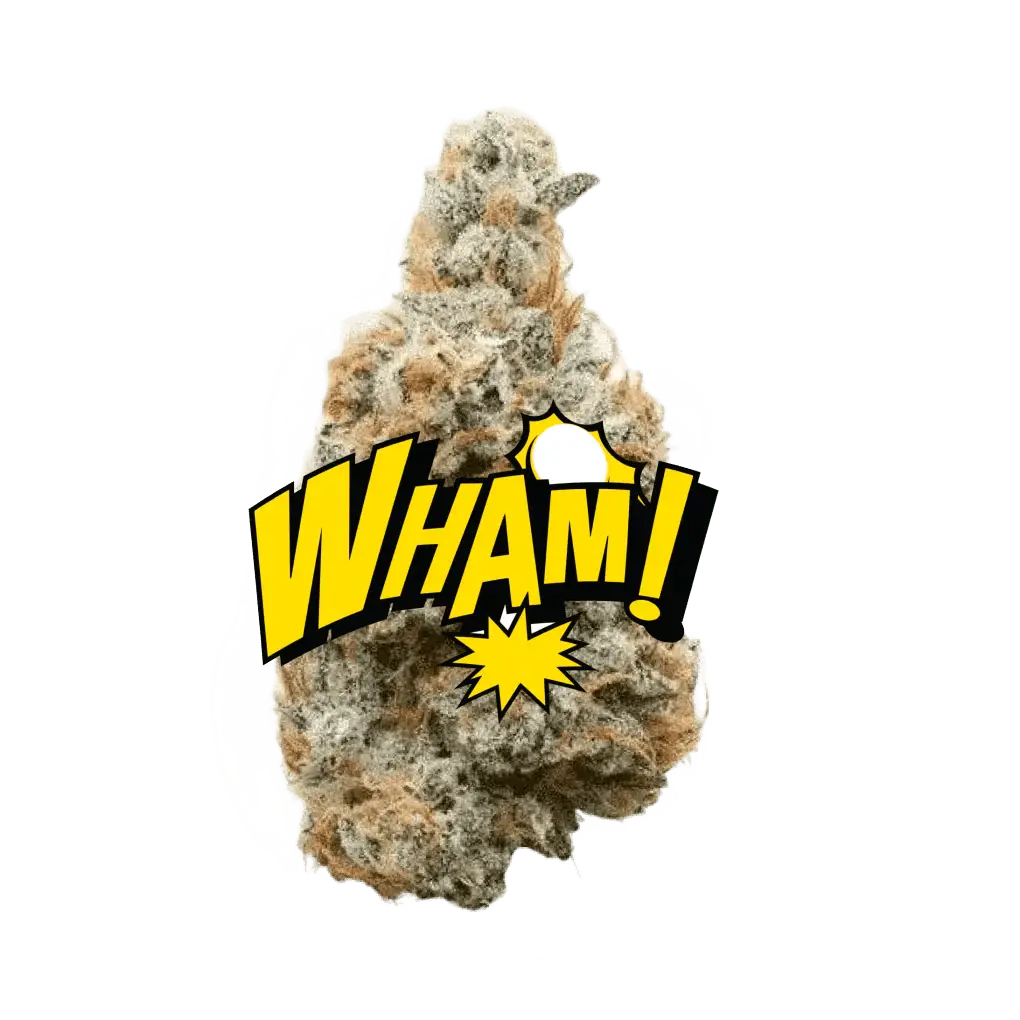 Lil Baby - WHAM!