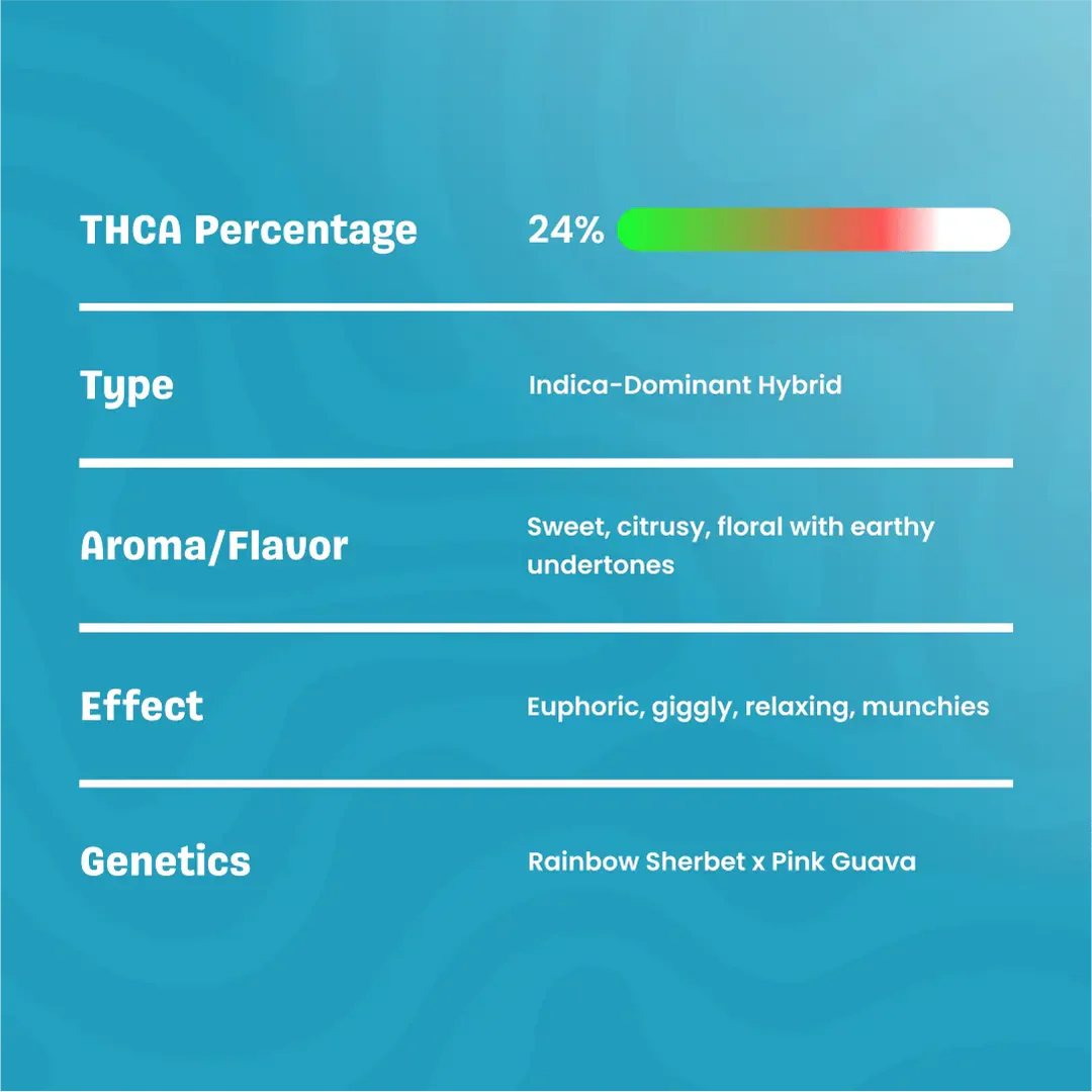 Zoap – THCa Flower
