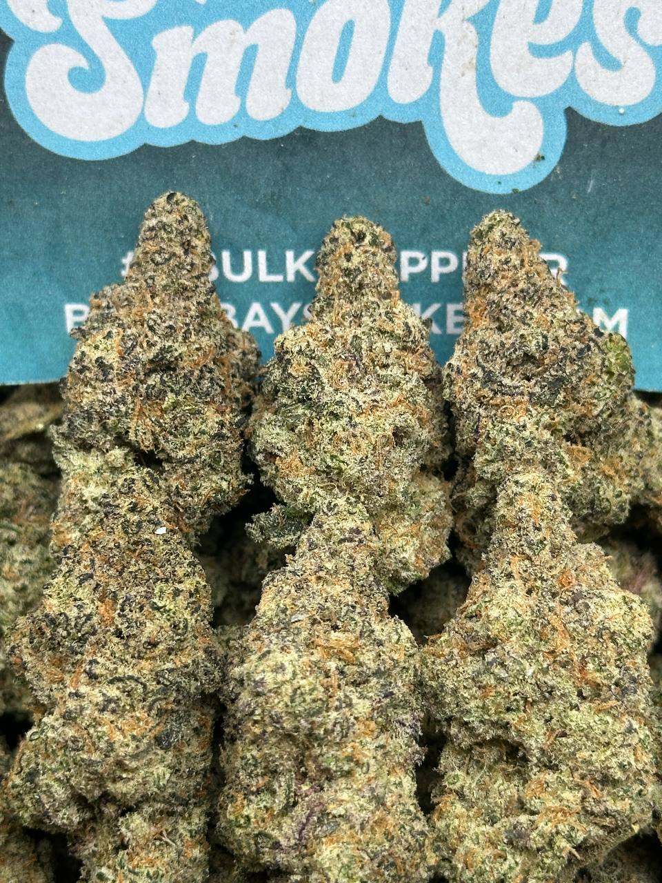 Blue Gummiez-Blueberry Exotics Terp ( Hybrid )