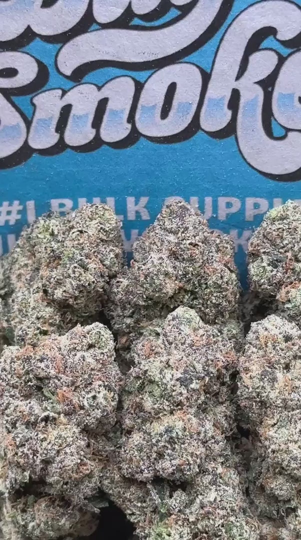 Black Cherry Gelato (Indica)