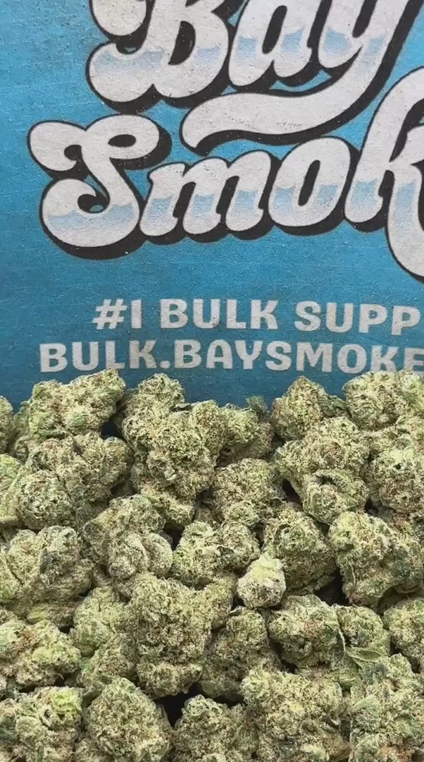 Cereal Milk SM (Indica)