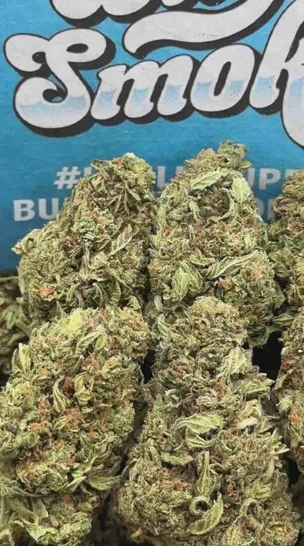 Octane Gas (Indica)