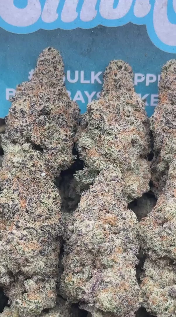 Blue Gummiez-Blueberry Exotics Terp ( Hybrid )