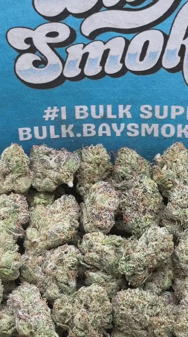 Grape Soda SM (Hybrid)