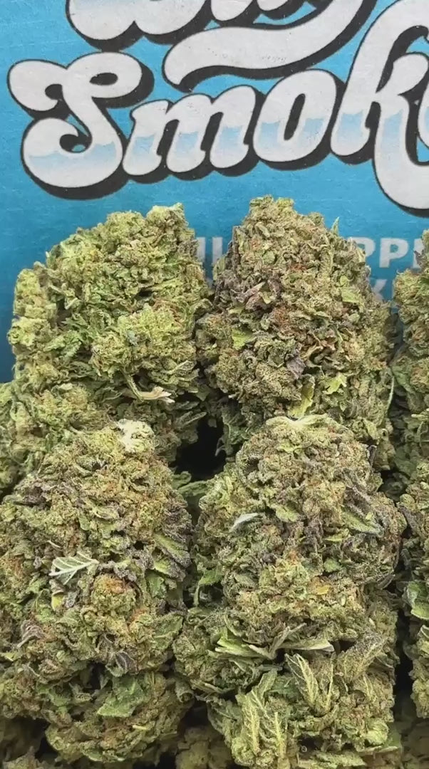 Biscotti (Hybrid)