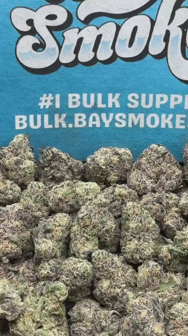Hood Candy SM (Hybrid)