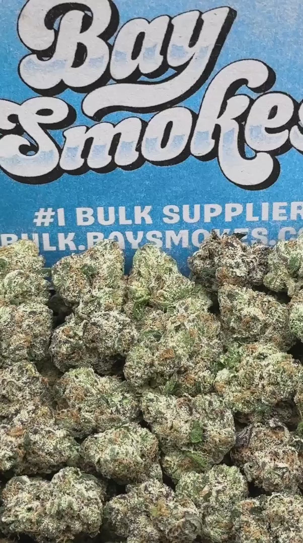 Gelato Cake-Mango 🥭 Terped Snowballs SM