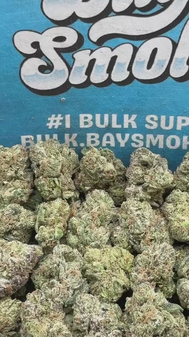 GMO SM (Indica)