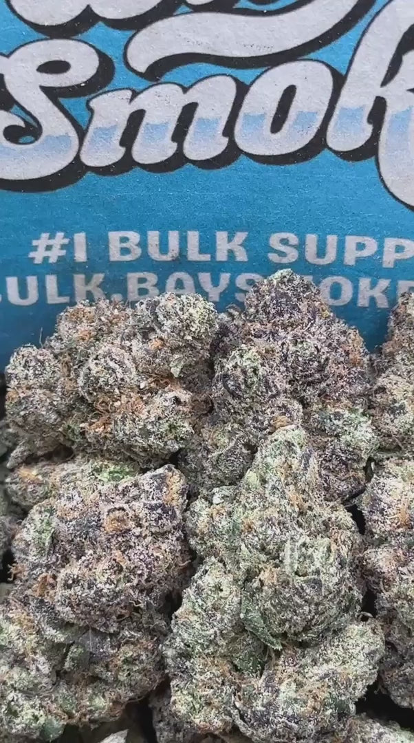 Lemon Cherry Gelato